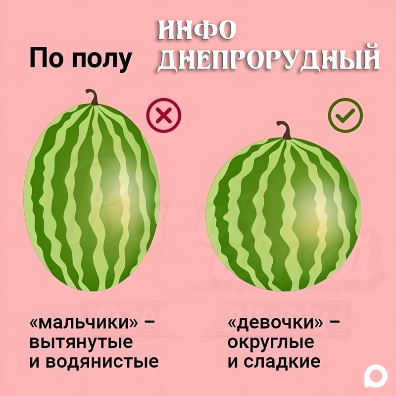 ������ - ���� �������, �� �� ��� ����� ��� �� ��������� ��������
