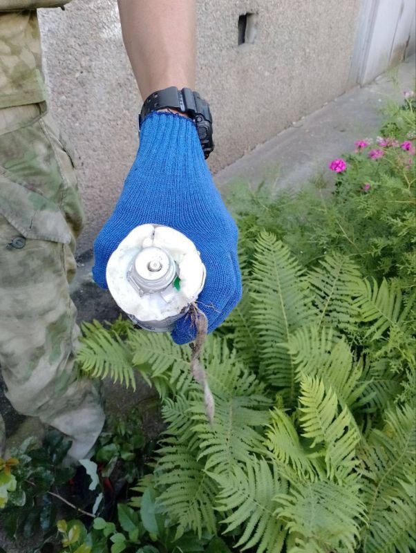 ����� ��������: � ���������� ����������� ���������� ���� �� �����������