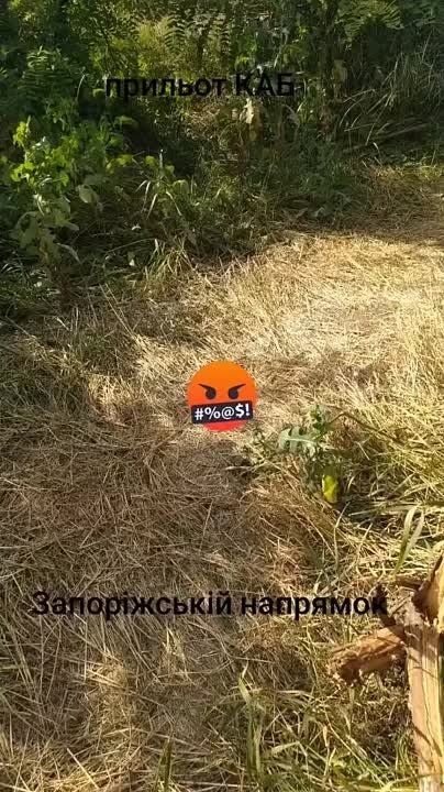 Чингис Дамбиев: Чубаноид жалуется на ежедневные прилеты русских авиабомб ФАБ-500М62 с модулями планирования и коррекции УМПК по позициям украинских формирований на Запорожском направлении