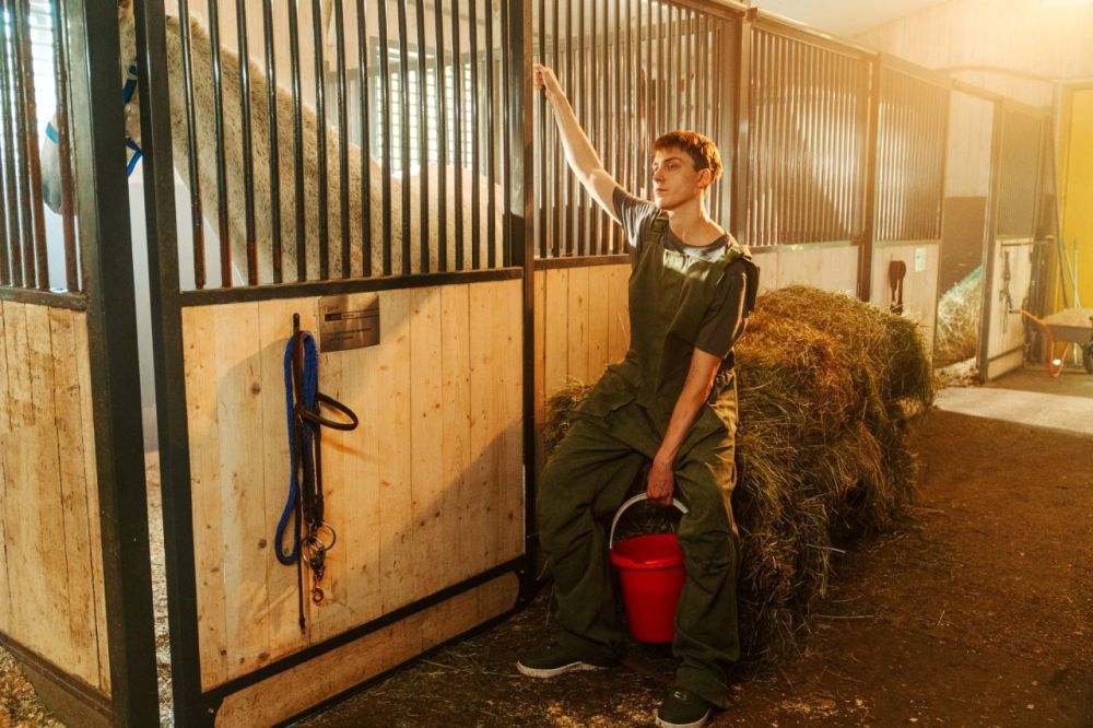 ����� ��� ������� ����� ������ ��� ��������� �������-�������, ����� �� ���������� ������� ���� ����������� ������������ ������ ��������