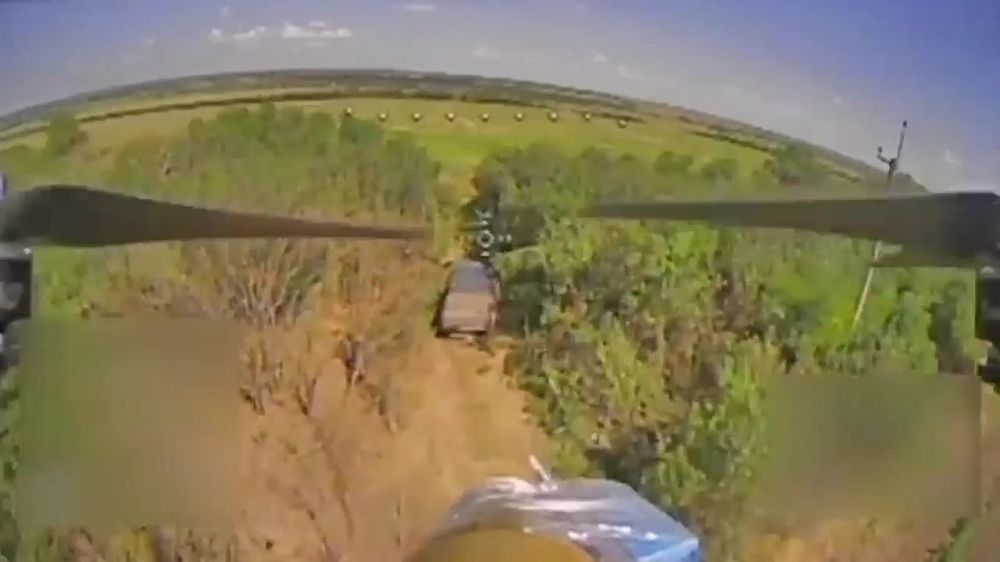 ����� �����: ���������� �� ���������� ������� ������ ������ ���������� ���� �� ����������� �����������