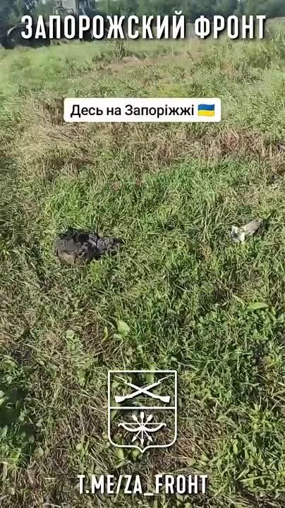 ����� �����: ������������ ������� ��� �� ����������� �����������, ����� ������� ��� VAB