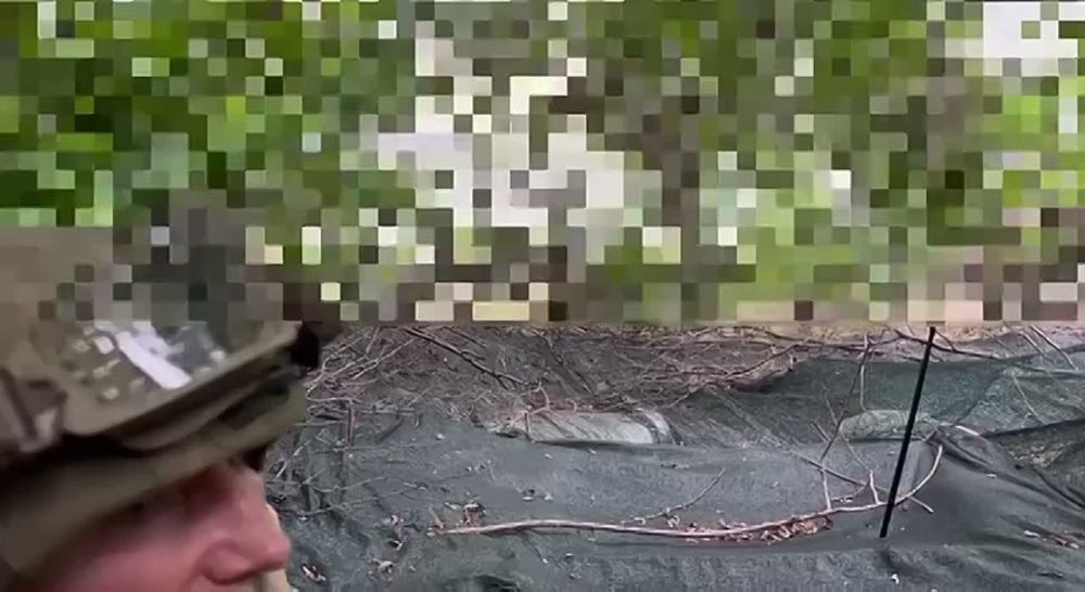 ������� ��������: ����������� �����������. �� ��������������� �������� ���� ����� ���. ����� ������ ������ Z� ���...