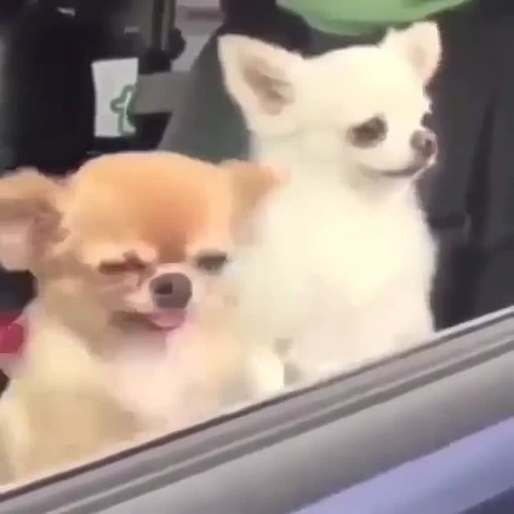 � ������ �����, ��������!. �������������� ��