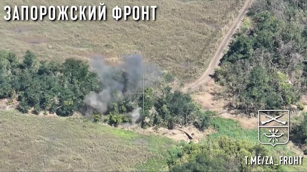 ����� �����: ����� ������ ������ "��������" � "�����" ������� �������-2�3 "������" �� ����������� �������� ��� �� ����������� �����������