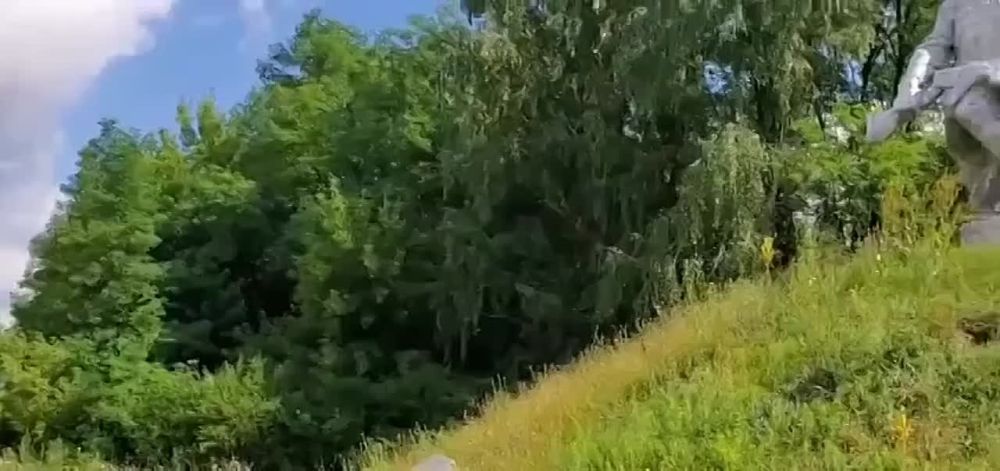 #��_�����������. �. �����, ���������� ������� "������� ��� ������! ��� ���� � ��� �����!" ������ �� ��� ���������� ������� ���� ����� ������� - ���������� �����, ����� ������ �������� � ���������� �������� �������