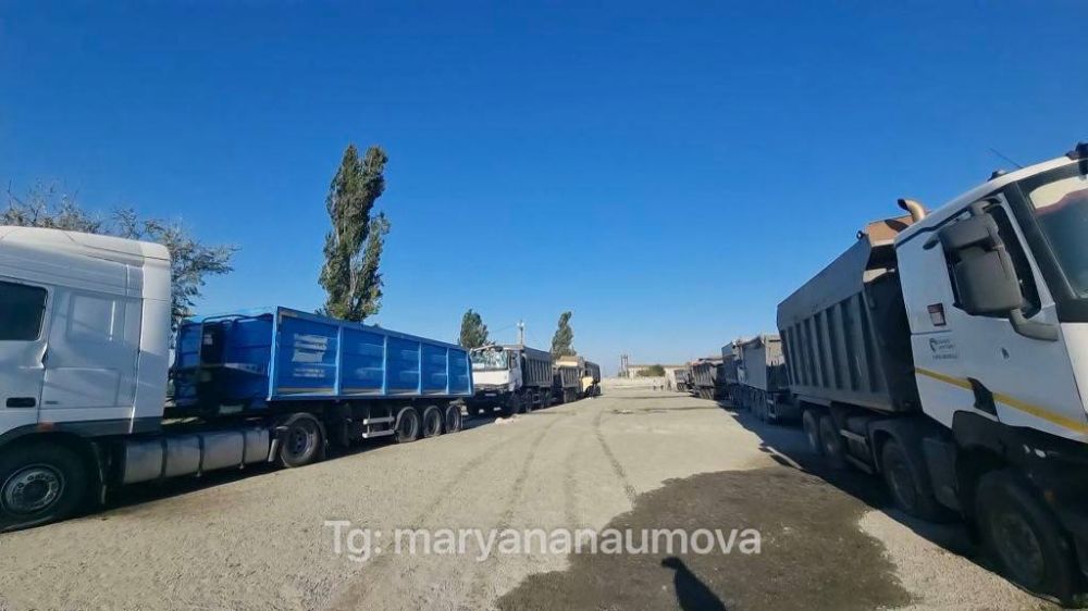 ������� �������: �������� ������� ������������ �����������, ���� ��������: