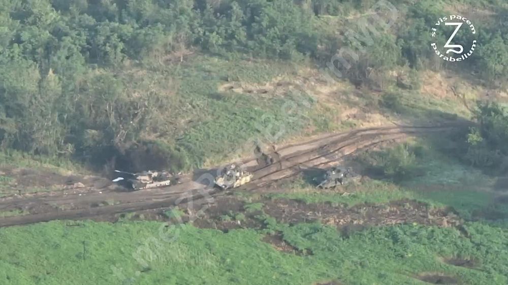 Юрий Котенок: Июльские кадры, сделанные в районе Работино (Запорожское направление)