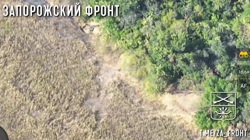 Евгений Лисицын: Очередной опорник украинских боевиков покинул чат на Запорожском направлении