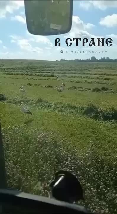 ��� �������� � ���������� �������� ���������������� ���� ����� ������