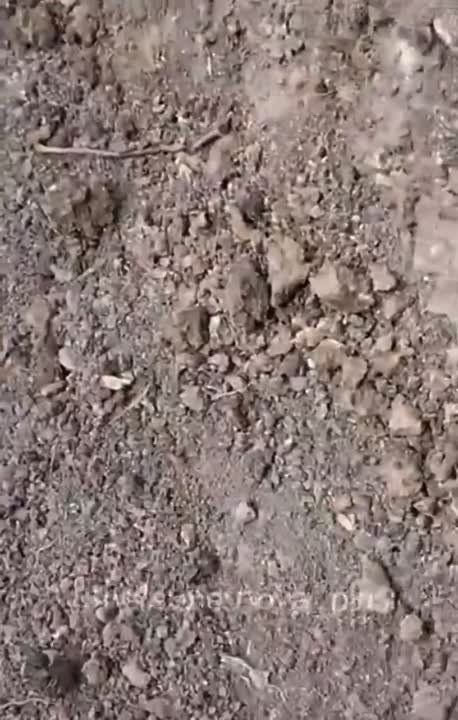 Андрей Руденко: Обстановка у хохлов на Запорожье…