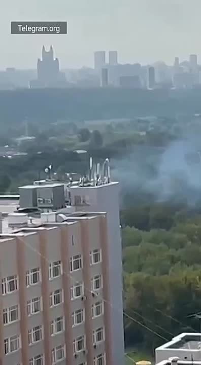 ��� ������������� �����������, ������� ������� ��������� � ������