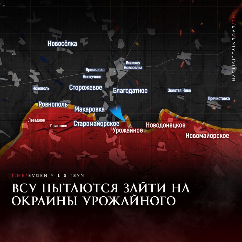 Евгений Лисицын: Фронтовая сводка на утро 11 августа: