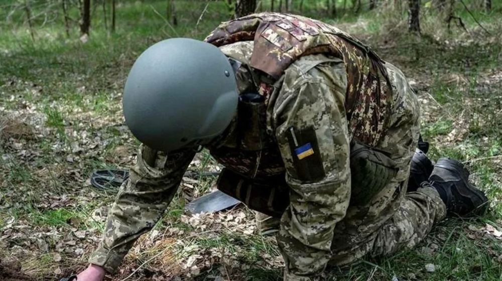 ���������, ��������� ������� ���������� � ����������� �����������������: BILD �����, ��� �������� ��� ������� ����� ����� ����������