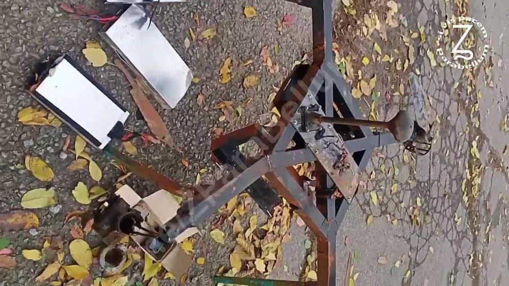 ����� �����: ��� ����� ���������� �������� ����� 282 ��� �� ����������� �����������