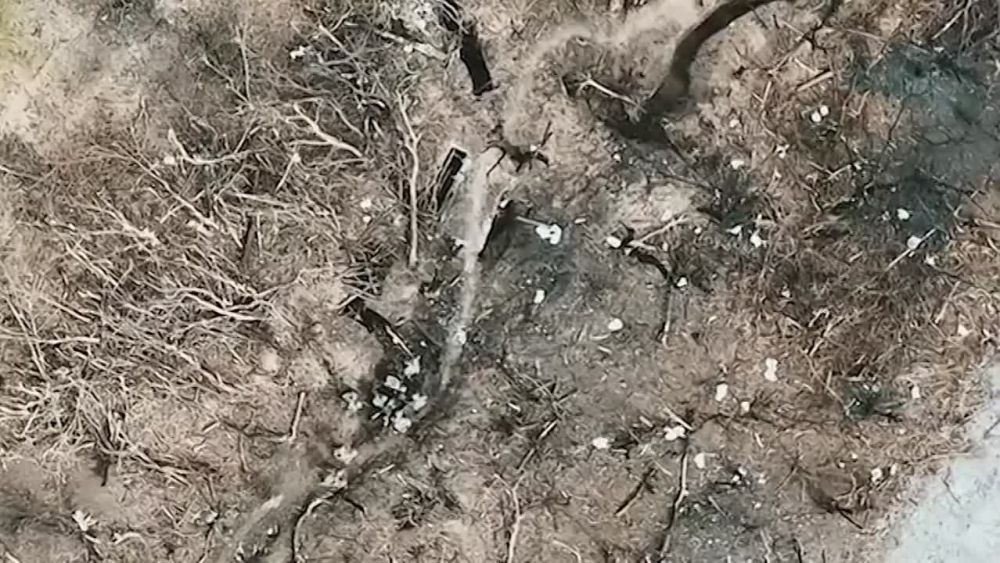 ������� �������: ����� ���� �������, ������ ��� �� ������ ������