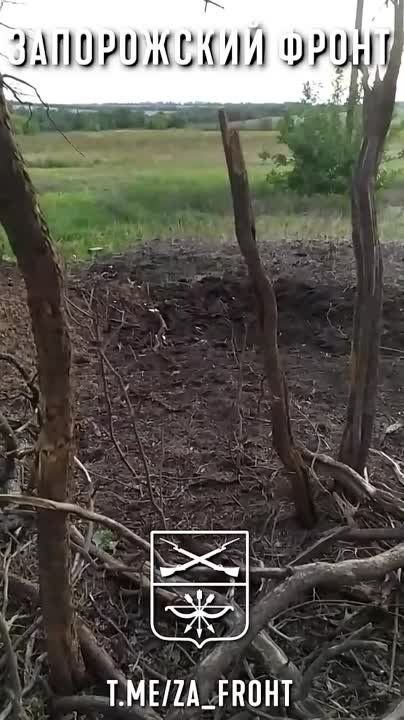 ��������� �������� �������� �� ������������.