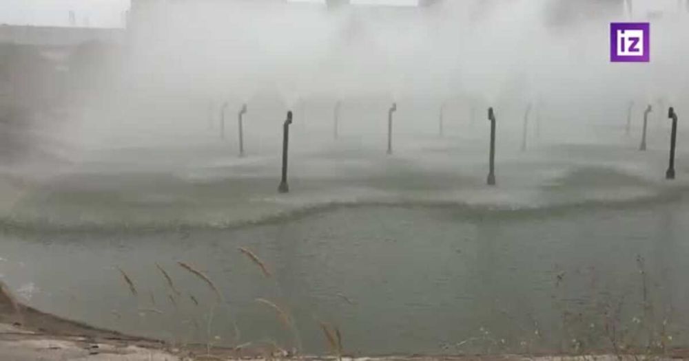 ���� �������� ������������� ����� ��������������� �� �������