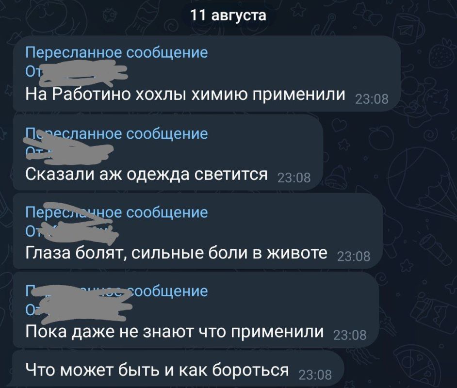 Дмитрий Стешин: Хим.оружие на Запорожском направлении