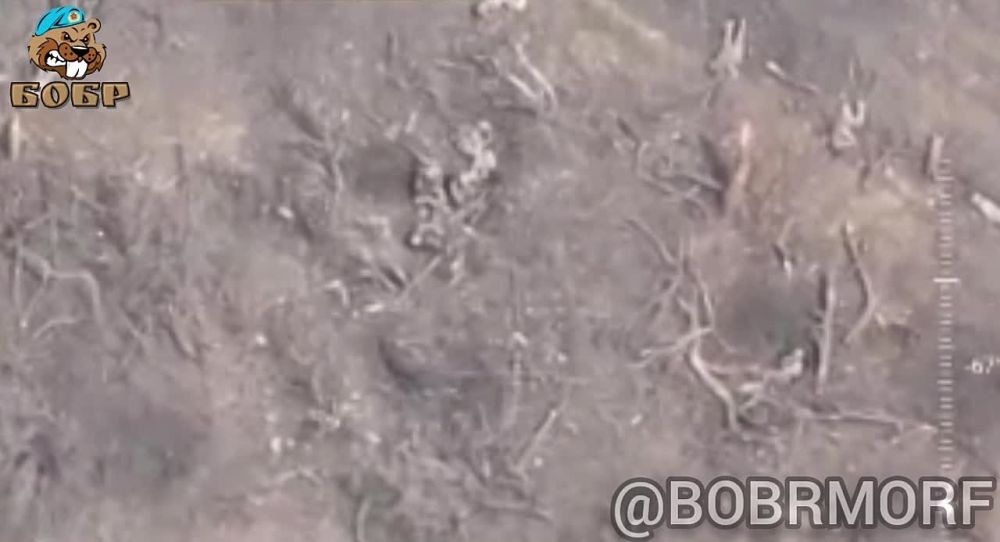 ����������� ����� ������� �������: ����� ���������� ������ ��� � �������
