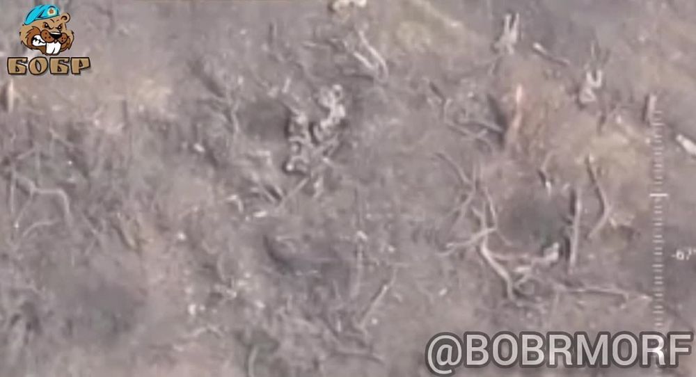 ����� �����: ������ ������ FPV-������� �� ������� ������� ��� �� ����������� ����������� � ����� ����������� �� ����������