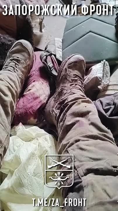 ����� � ��� �������. ������� ������� ���� �� ����, � ��� �������� �������� � �������� ������