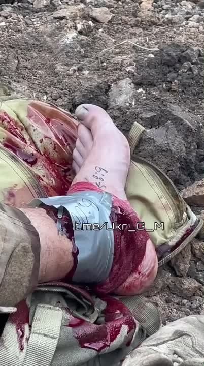 ��������� �������� ������ ���� �������