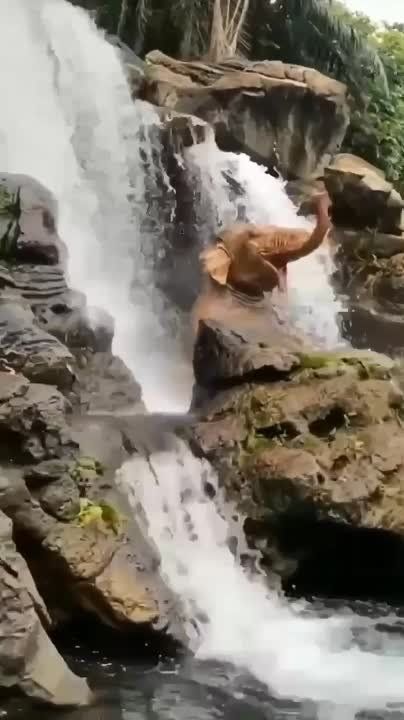 ������� ������ ��������������, ���������� � �����������, � ������ �������������� ���������� �����!