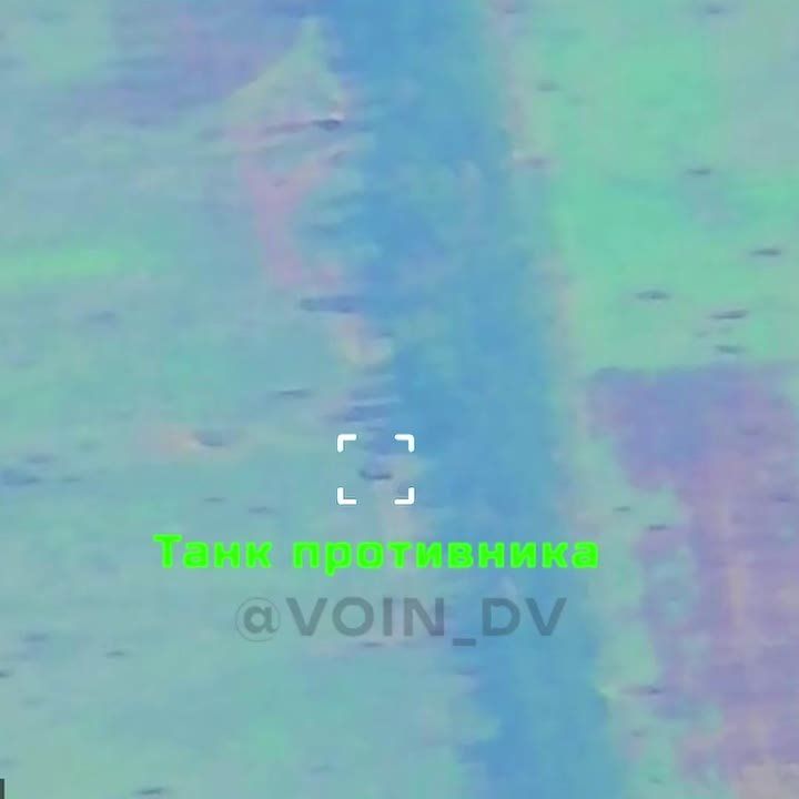 ����� � ���� ��� "��������" ������������� 36 ����� ���-�� �� ���������� �������