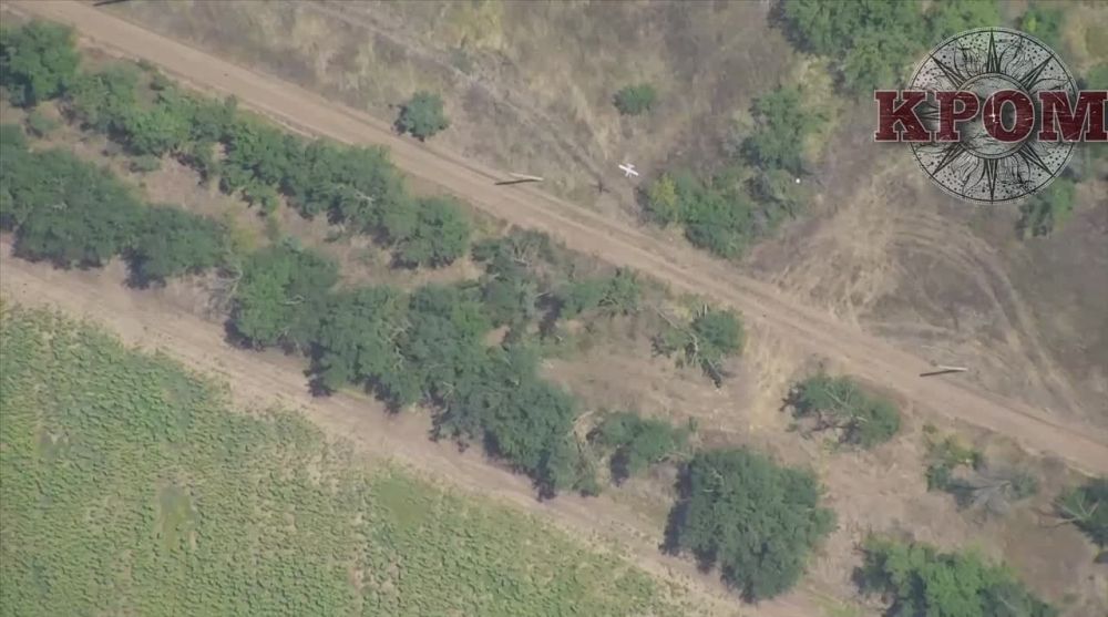 Евгений Лисицын: Уже стандартное событие, но все-таки