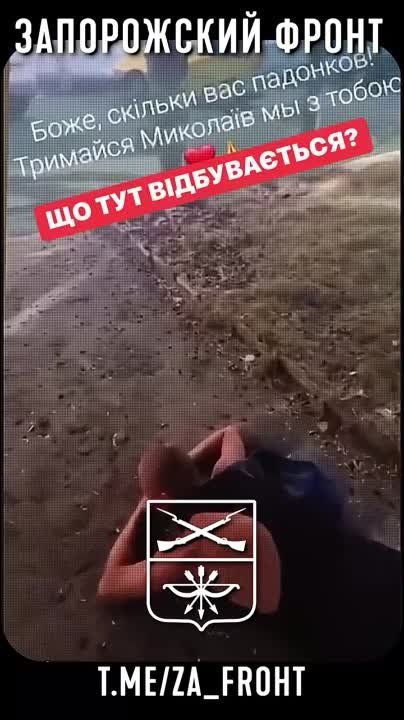 ������ ������ �� ����� ����� ��� ������� �� ����