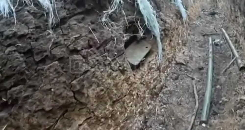 ���������� ���������� ������ �� ����� ��������, ����� ������ ���� �����