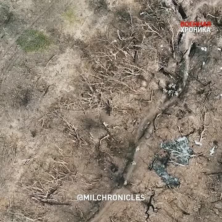 ������ ���� �������� ����� ���������� ������ ������������ ����