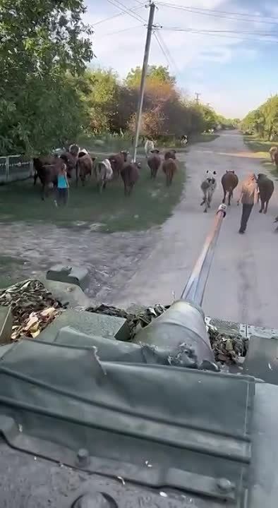 ������������ ������ ����� ���������� ���� �� ���� � ���������