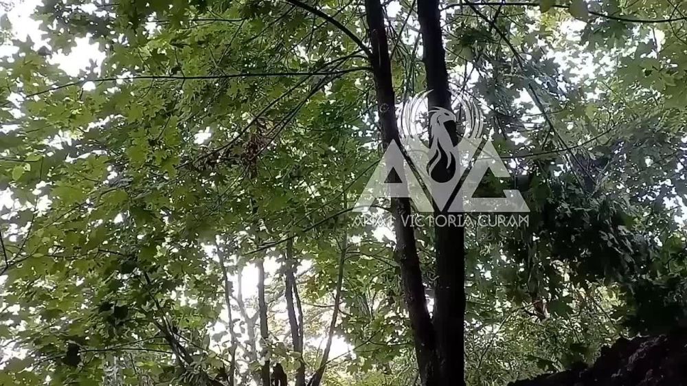 Евгений Лисицын: У Работино на Запорожском фронте сейчас идут тяжелейшие бои. Пример этого – кадры с работой российского стрелкового батальона на данном направлении