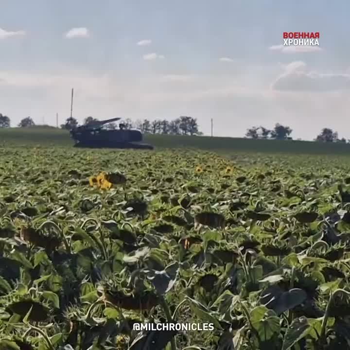 ��������� ������� ������� � ������������ �����������