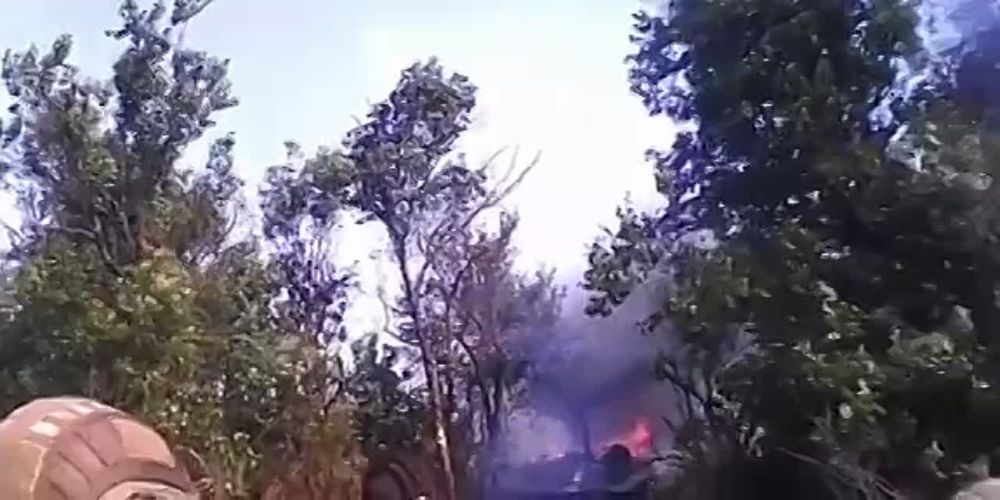 Андрей Руденко: Работино Запорожская обл. хохлы тикают после очередного «мясного штурма»