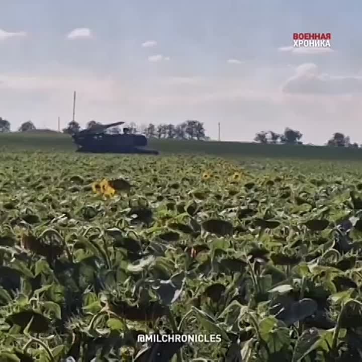 ������ ��� ���� �������� �� ����������� �����������