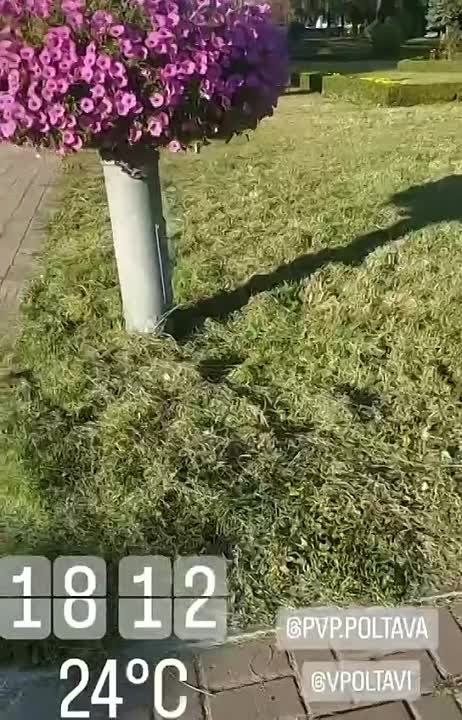 � ������� ���������� ��������� ��������������� �����������: ����������, ���������� ��� ���������� �����