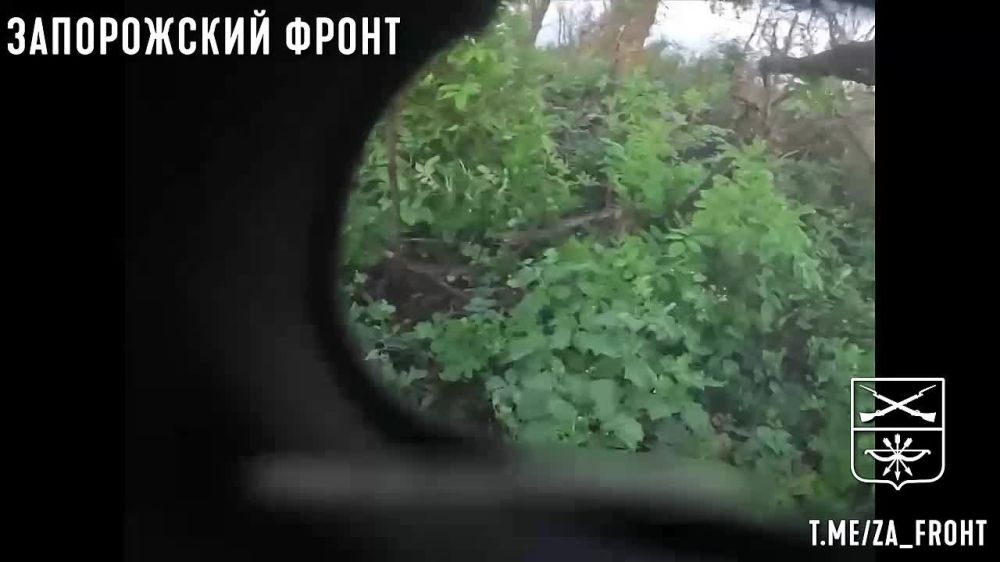 �� 19 ������� �� ���������� ���������� ����� ������...