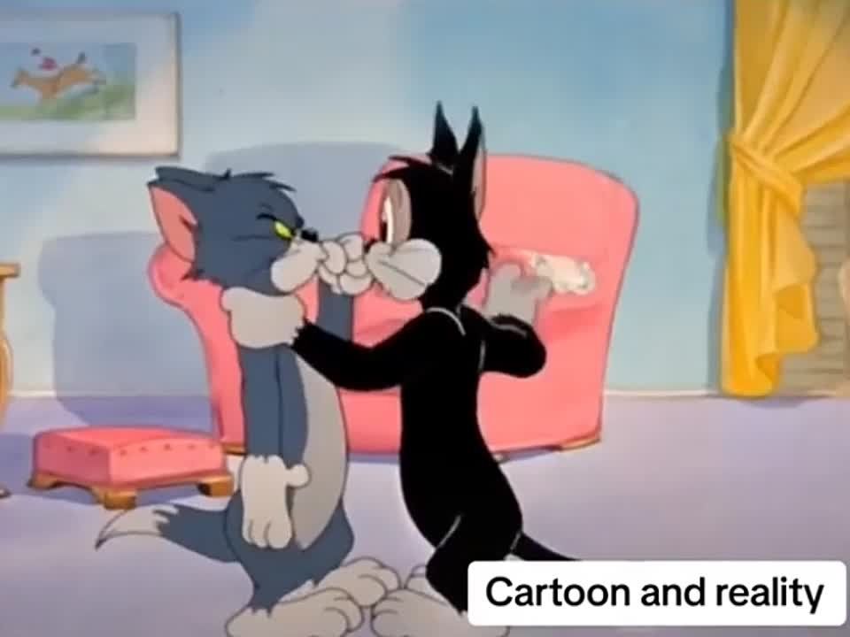 ������ �������� ������ ������, ����� ����� ��� ��������� ���� ����� � ����� ����������� ����� �� �������� �����