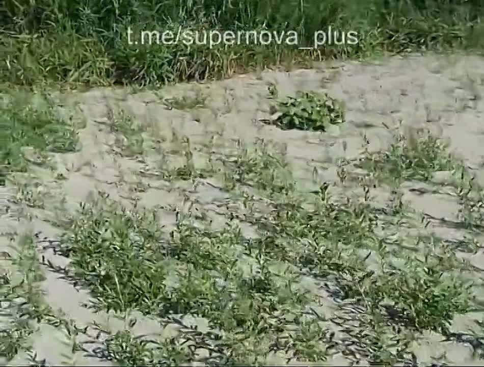 ����� ����� ������� ���������� ������������� ������������ � ���