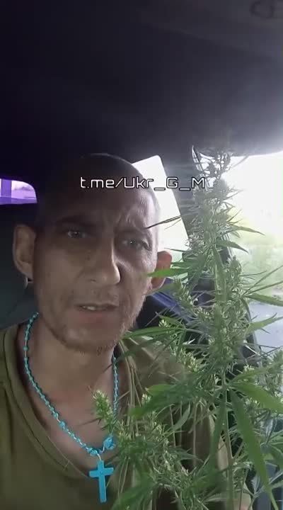 �� ��������� ����������� ����������� ��������� �� �������, ����� ��� ��� ������ ������� �� �������