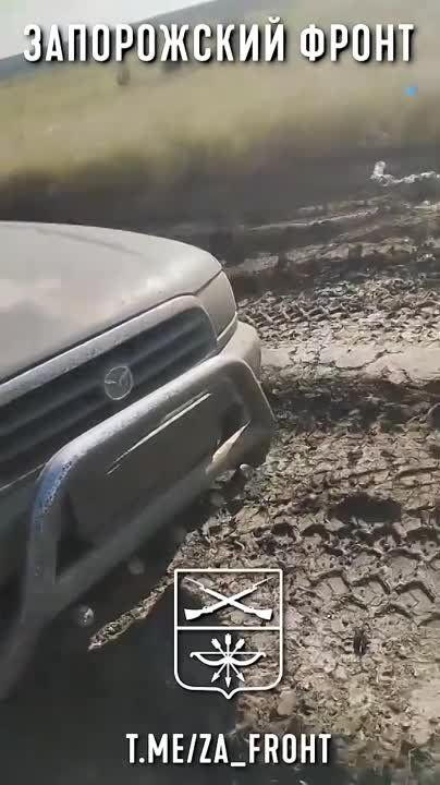 ����������� ���������� ���������������� ���