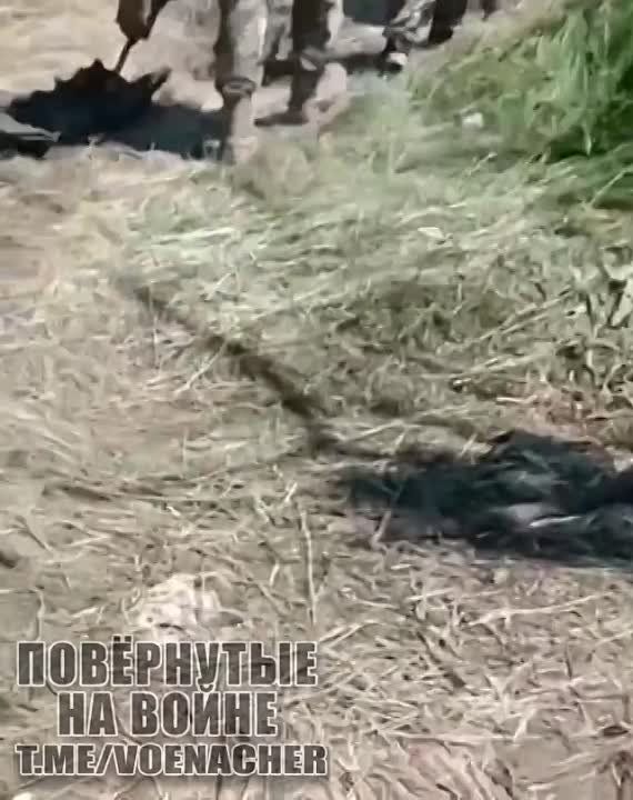 ������ ������ ���������� �������� ������ ������ �������� ������� �� ������ ����������, � �����