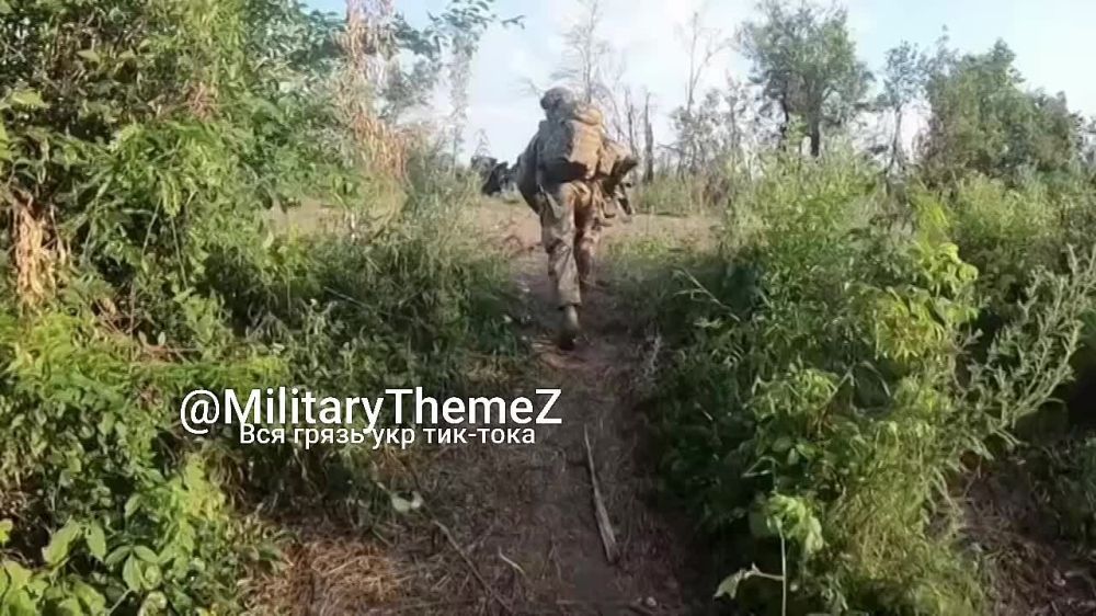 ������� 15 ������� ��� ������� ���� ������������� ��������������� ��� ����� ������� ��� ������������� �� ���������