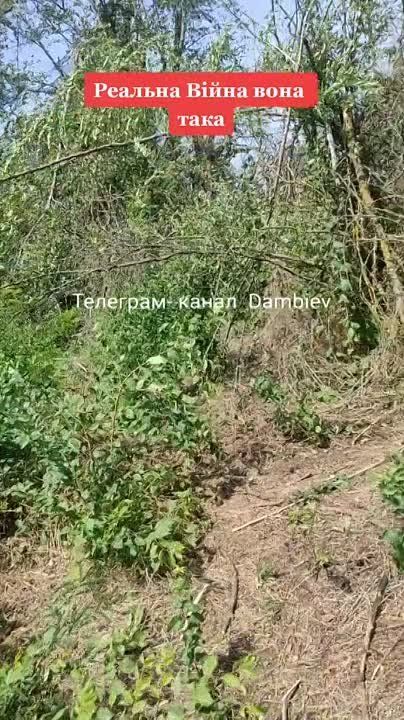 Чингис Дамбиев: Очередная разгромленная на Запорожском направлении колонна бронетехники украинских формирований