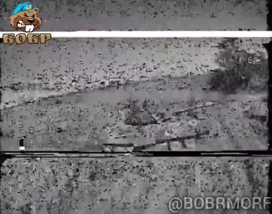 Андрей Руденко: Бобры в опилки грызут вражескую бронетехнику