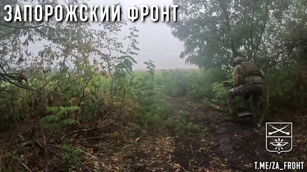 �������� 291 ����� �������� �� �������� ���