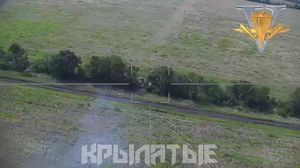 Евгений Лисицын: Разгром техники укропов на Запорожском фронте достиг промышленных масштабов